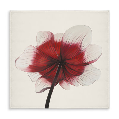 Anemone Red Flower Tablecloth | Romantic Botanical Decor