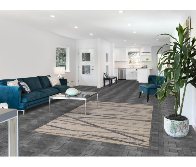 Tapis contemporain contemporain indien
