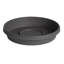 Plateau traditionnel / intérieur en plastique pour soucoupe-292334522-401389584