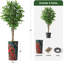 75 plantes-97992046