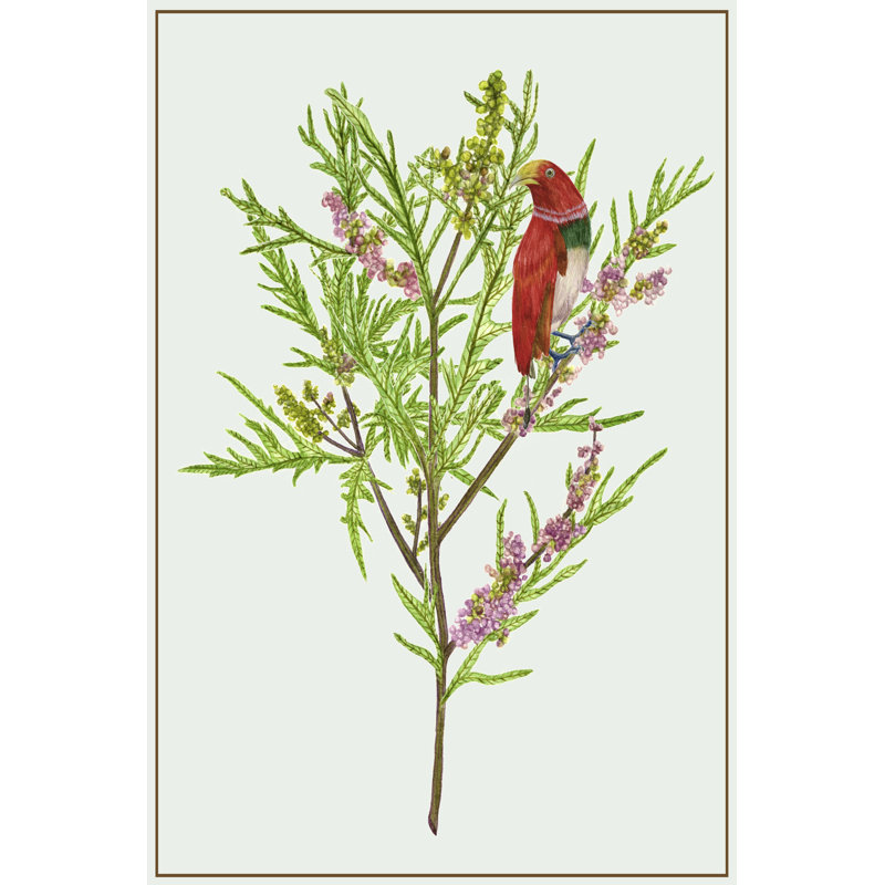 Urtica Cannabina I by Melissa Wang - Wrapped Canvas Art Prints, 46cm H x 30cm W x 3.8cm D
