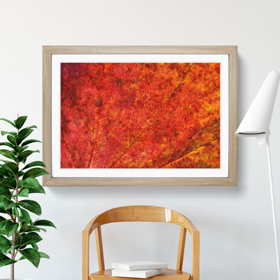 Autumn Leaf Vol.2 - Picture Frame Graphic Art