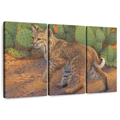 Brampt Curious Bobcat