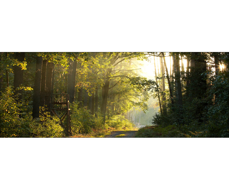 No Frame Print on Glass, 50 cm H x 125 cm B x 1.4 cm T
