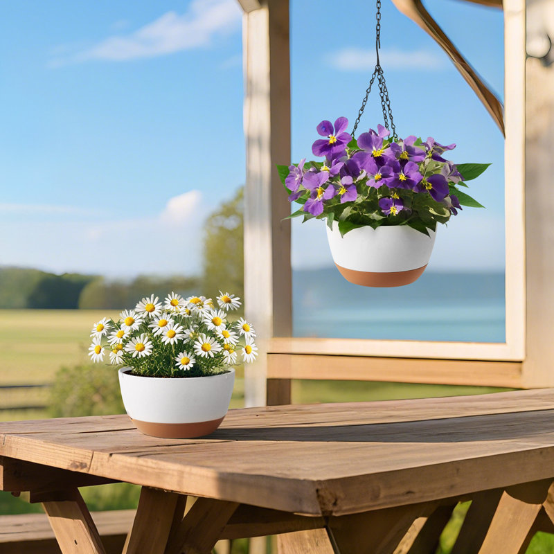 Hanging Planters 10 Inch Self-Watering Flower Pot Indoor & Outdoor