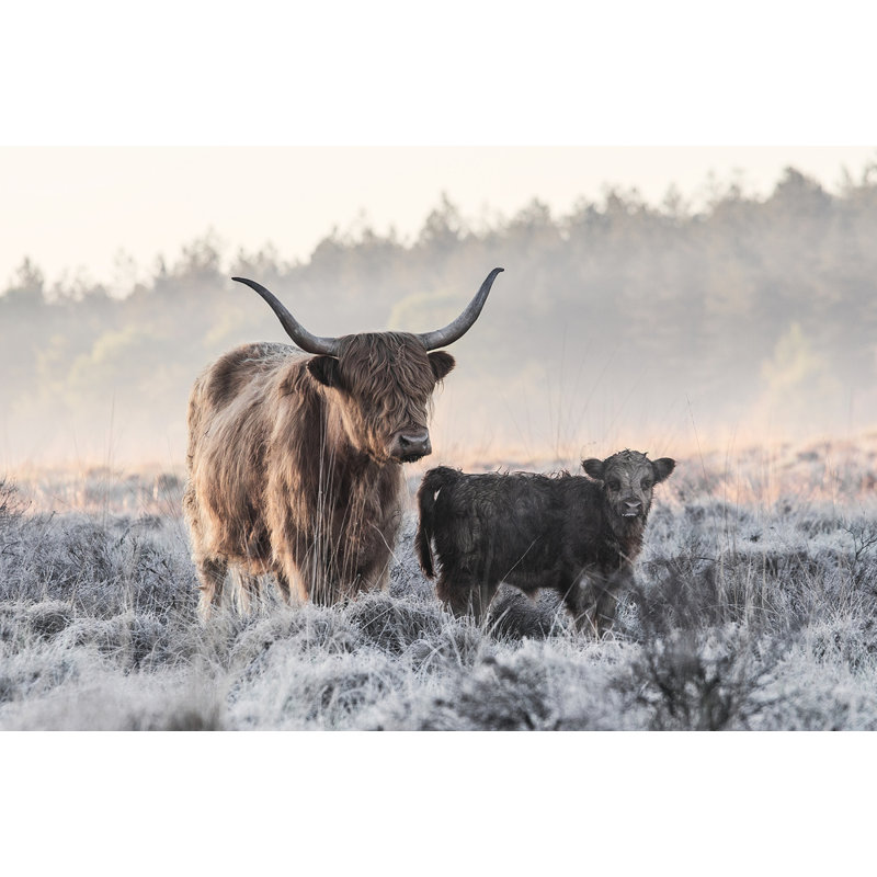 Wrapped Canvas Print, 60.96 cm H x 91.44 cm W