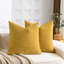 Housse de coussin moelleuse à rayures en chenille douce-111961572-111961573