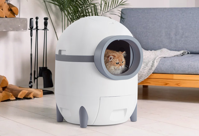 Must-Have Automatic Litter Boxes