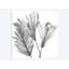 « floral silhouette ii », impression sur toile-72128987-72128988