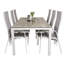 Drishya 6 - Person Patio Dining Set with Rectangular Table