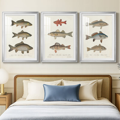 Species of Antique Fish I  -Custom Framed  Premium Print W Matt - 3 Pieces