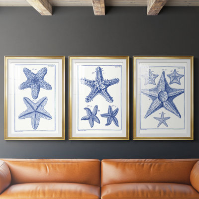 Blue Sea Stars IV  -Custom Framed  Premium Print W Matt - 3 Pieces