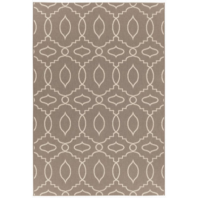 Oriental Indoor / Outdoor Rug