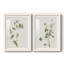 Impression encadrée Wispy Botanical I-Premium - prêt à être accroché-1613726209-1613726210