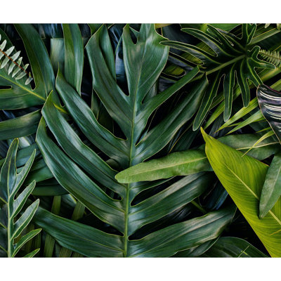 Green Haven Leaf Vibrant