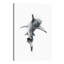 Shark III by Alexis Marcou - Print on Canvas-42157213-56678134