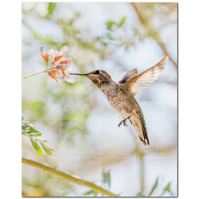 Bird Photo 4.25'' x 4.25'' Satin Ceramic Decorative Mural