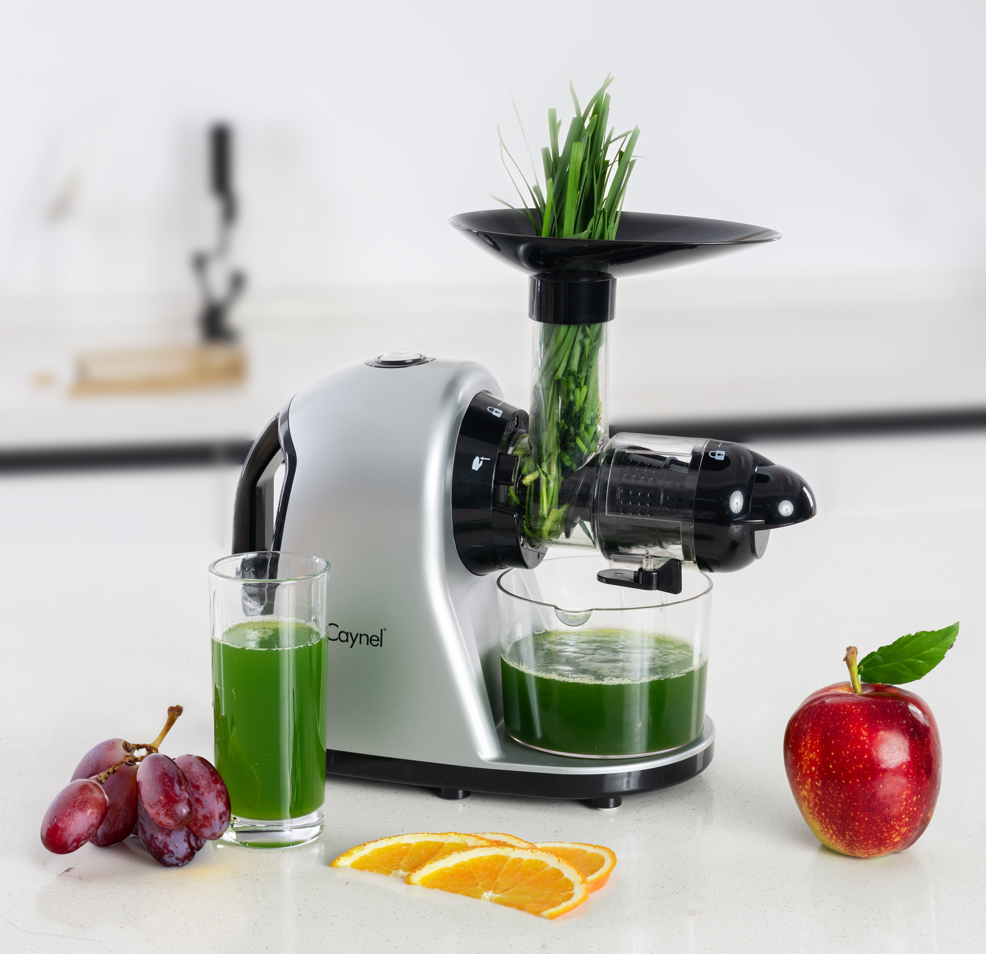 CAYNEL Electric Slow Masticating & Cold Press Juicer Wayfair