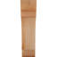 Attelle de genou olympique-31229501-29309935-31230593