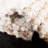 Delane Soild Color Machine Made Acrylic Area Rug in White / Beige-279172629