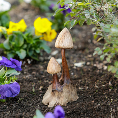 Champignon à poils longs 4 x 3,5 x 8 po