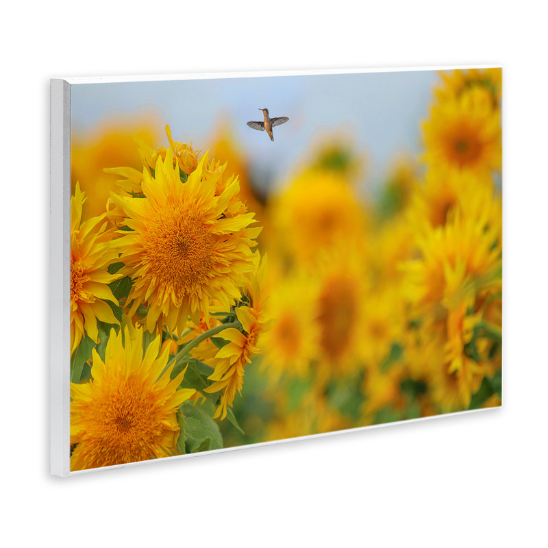 Plaque murale Happy Hummingbird & Sunflowers, design par Carrie Ann Grippo-Pike, H 13 po x l 19 po