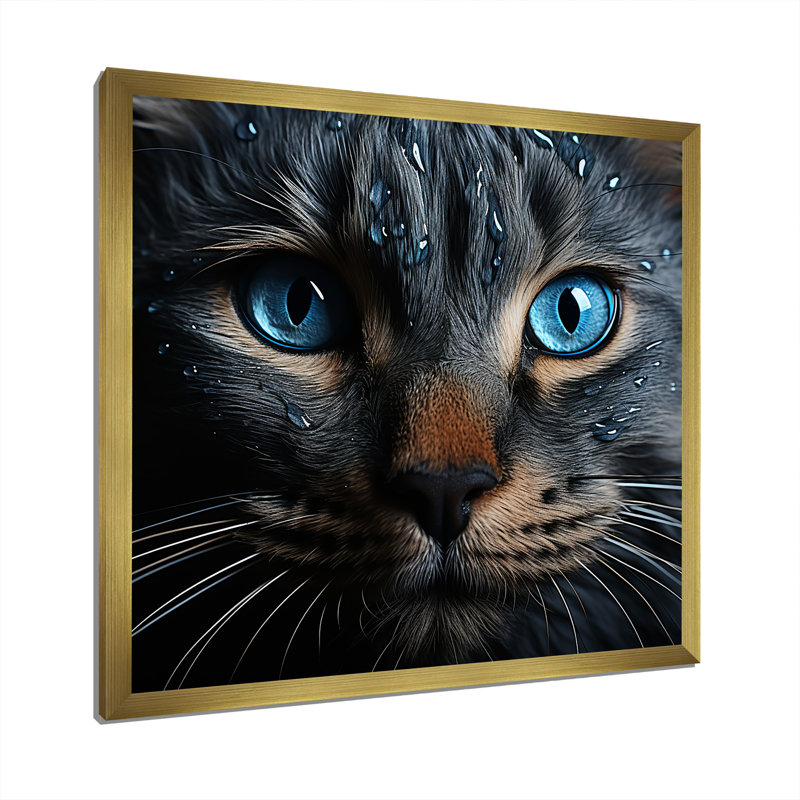 Chat, yeux bleus, chat, H 16 po x l 16 po x P 1 po, Cadre doré simple