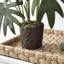 Faux Fern Plant