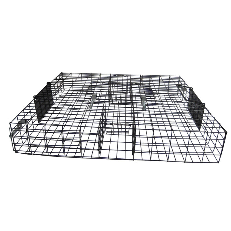 Cage à siphon 2 portes en métal robuste Squirrelinator Squirrel Squirrel Squirrel, H 6 po x l 25,75 po x P 25,75 po