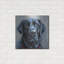 Red Barrel Studio® «Must Love Dogs Black Lab» par Lindsay Kivi, art mural en métal-146088099
