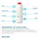 Replacement Filter