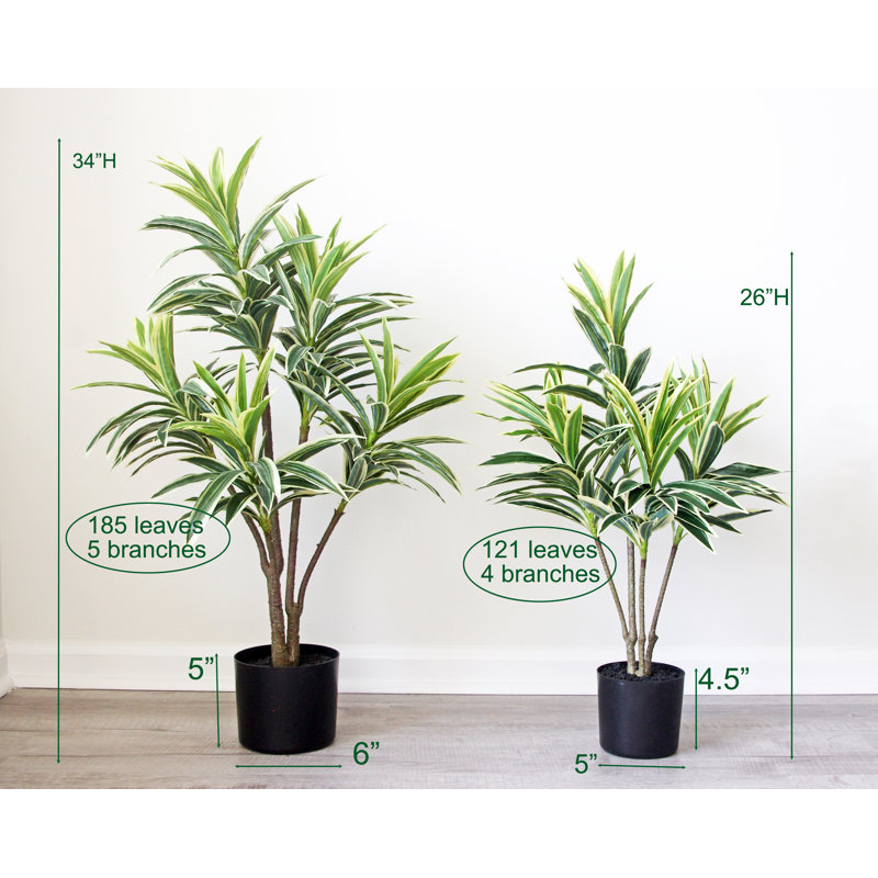 Keil Faux Dracaena Tree in Pot, 26" H x 22" W x 22" D