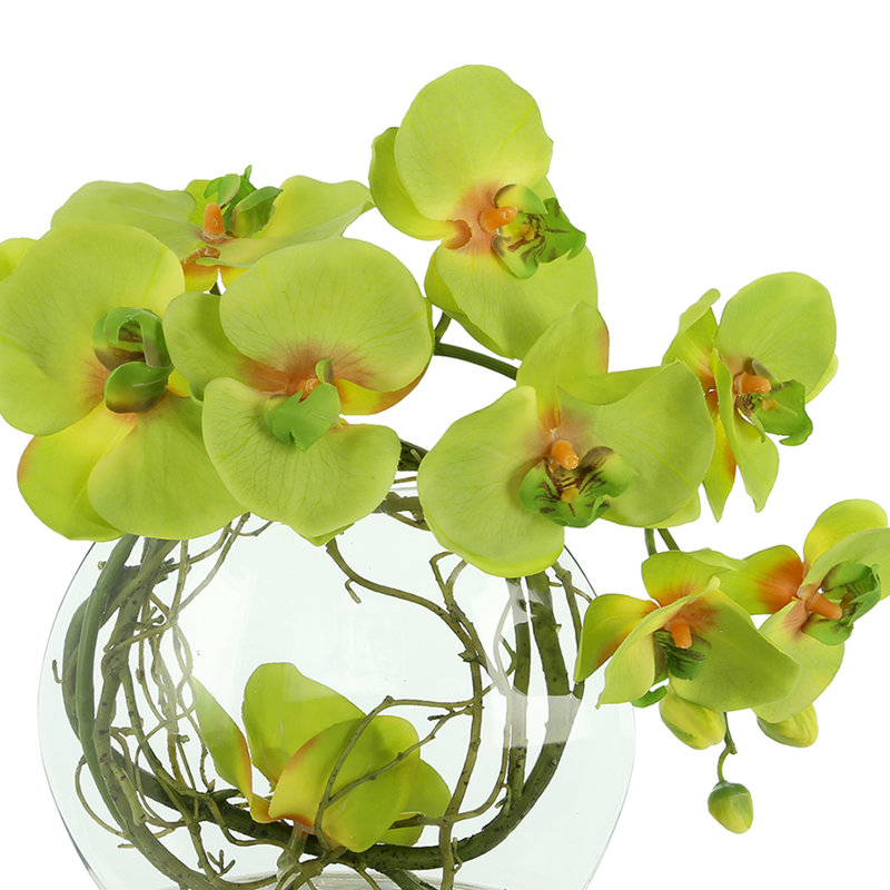 Orchid Arrangement in Glass Vase