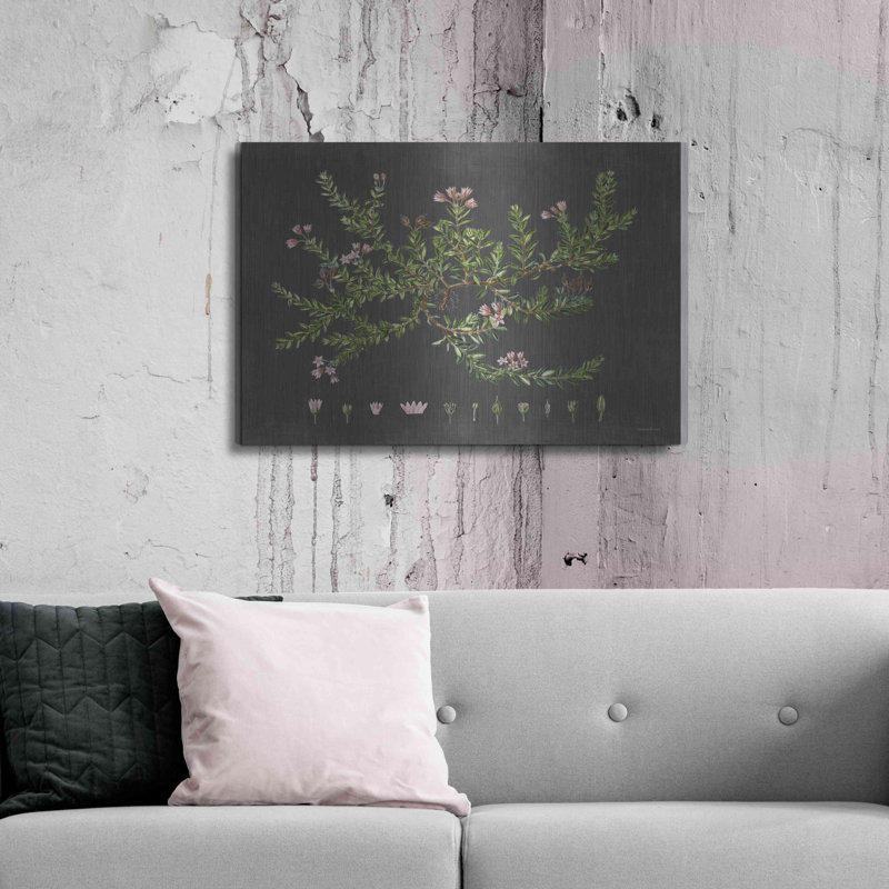«Alpine Azalea» par lettré et doublé