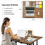 Linco Adjustable Metal Base Standing Desk-888920275