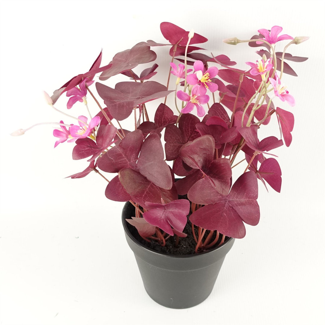 Foliage Plants 30cm Faux Plant in Pot Liner