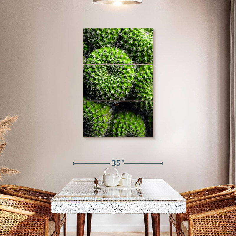 Harnek Spiny Barrel Cactus, 45" H x 28" W