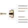 Universal PBV Extension