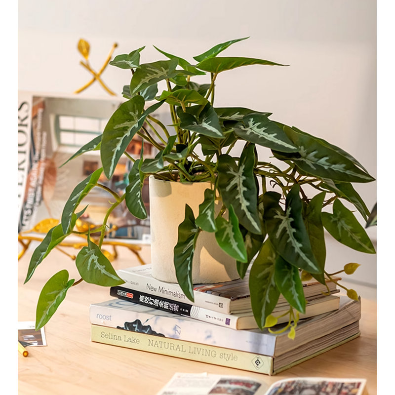 Simulation créative de plantes en pot