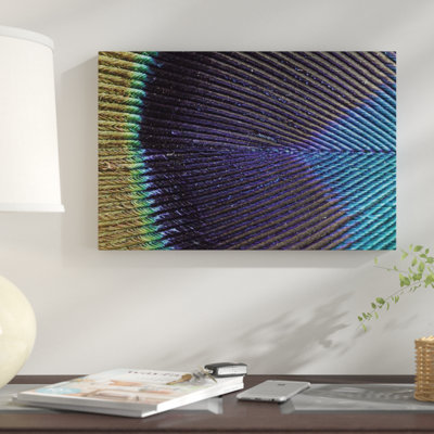 " Peacock Feather "