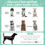 Pet Bed-97416369-97416370