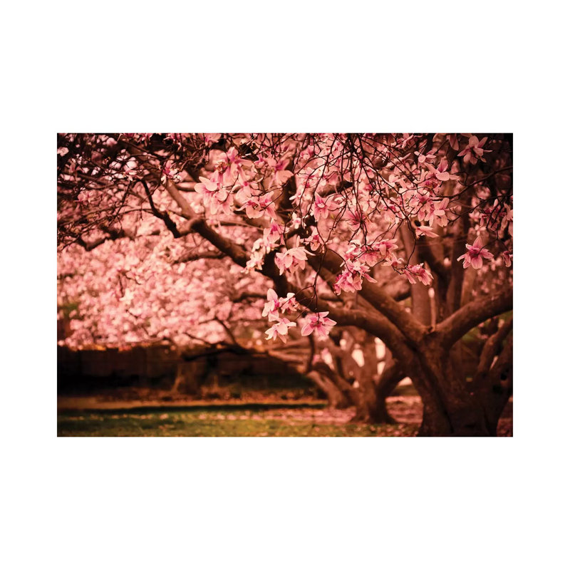 Printemps 1 Piece Wrapped Canvas Wall Art, 20.32 cm H x 30.48 cm W