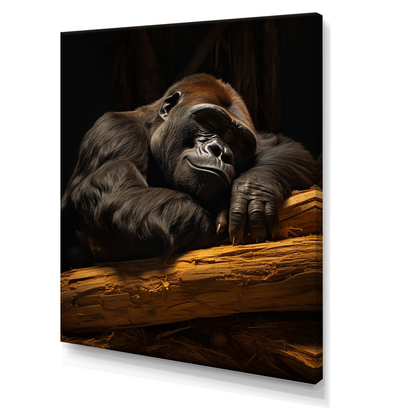 Gorille de la sieste sur toile, Toile tendue, 32" H x 24" W