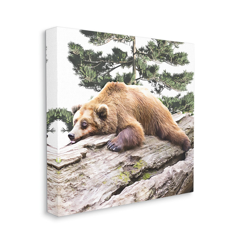 «Sleeping Brown Bear Wildlife» par Kim Curationa - impression sur toile tendue, H 24 po x l 24 po x P 1,5 po