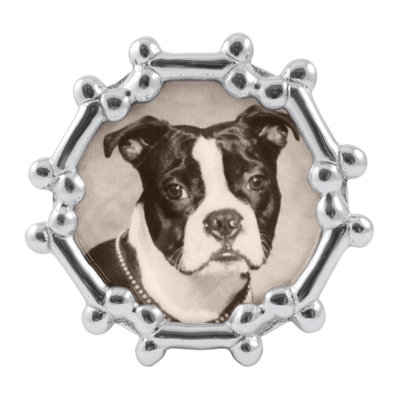 Silver Metal Beveled Picture Frame