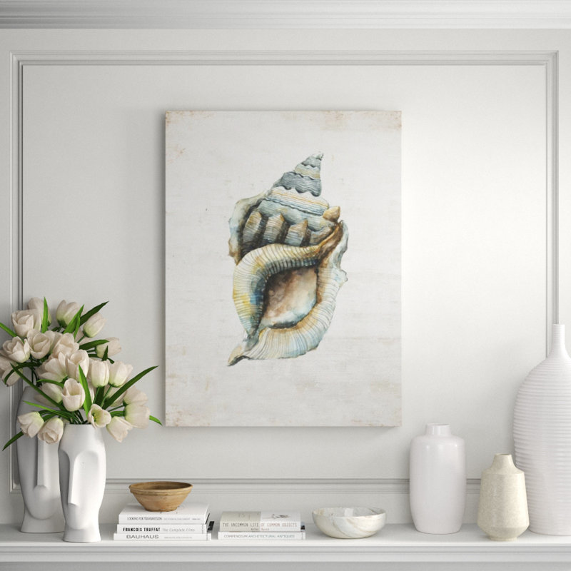 Shell Compilation II Print by Beverly Fuller, Image Brush Gel, 40" H x 30" W x 1.5" D