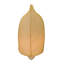 Veilleuse feuille-15271739