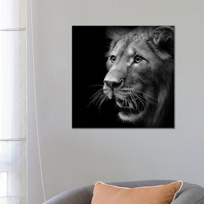 Lion In Black And White III by Lukas Holas - Wrapped Canvas Print
