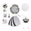 Paschke 76cm Ceiling Fan with Light Kit-28709055