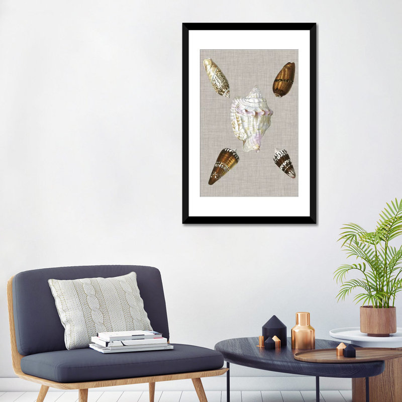 « shells on linen ii », reproduction d’impression sur toile tendue, H 32 po x l 24 po x P 1 po, Papier d'art encadré noir